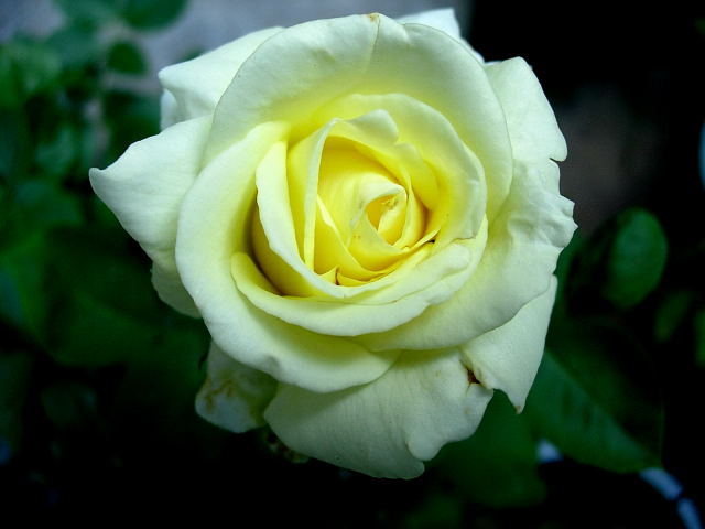 �ٱ��¼�--�ٰ�