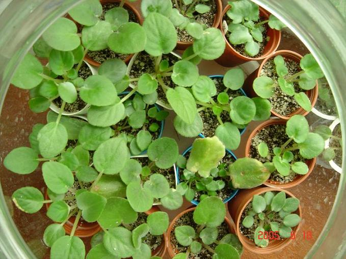 [��ˮ]��������ˮ��