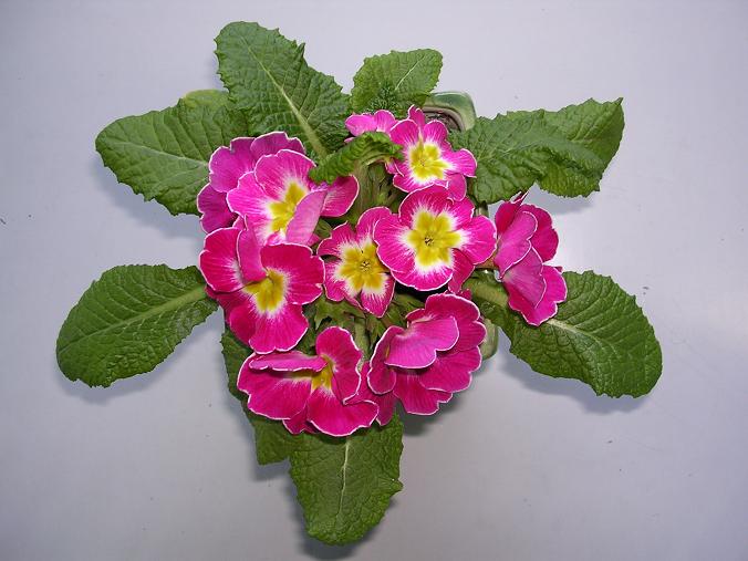 [����]����̦��������