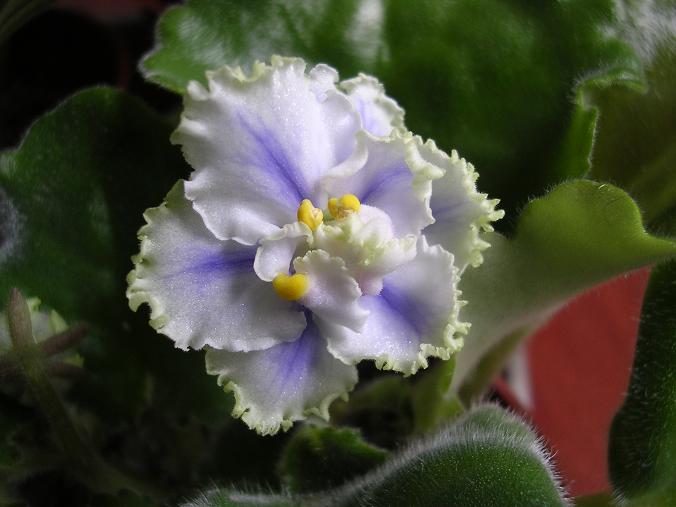 [��ˮ]��������ˮ��