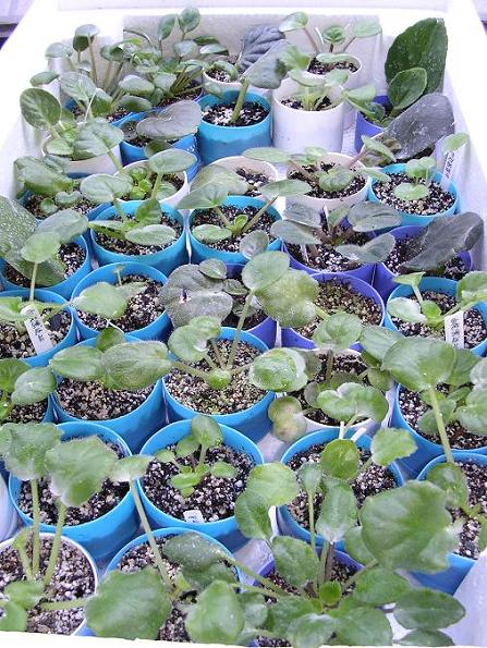 [��ˮ]��������ˮ��