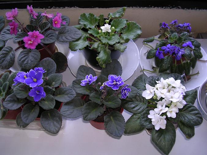 [��ˮ]��������ˮ��