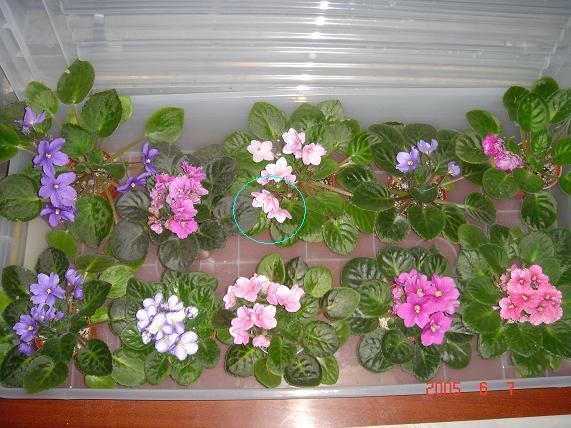 [��ˮ]��������ˮ��