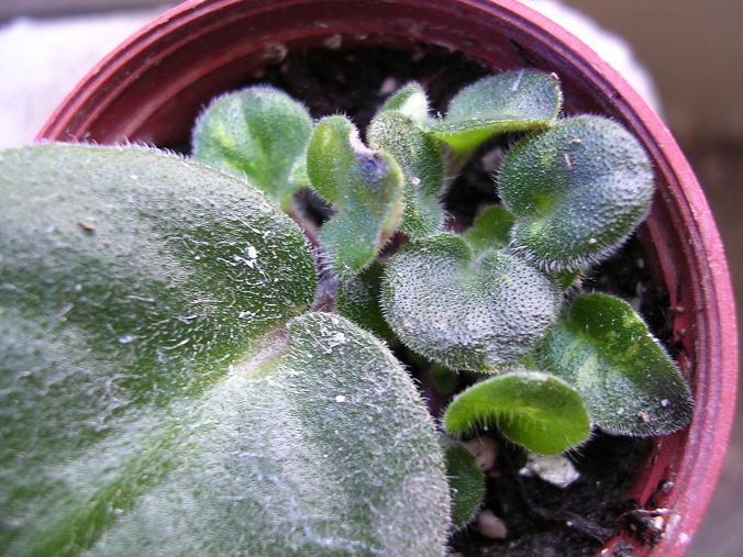 [��ˮ]��������ˮ��