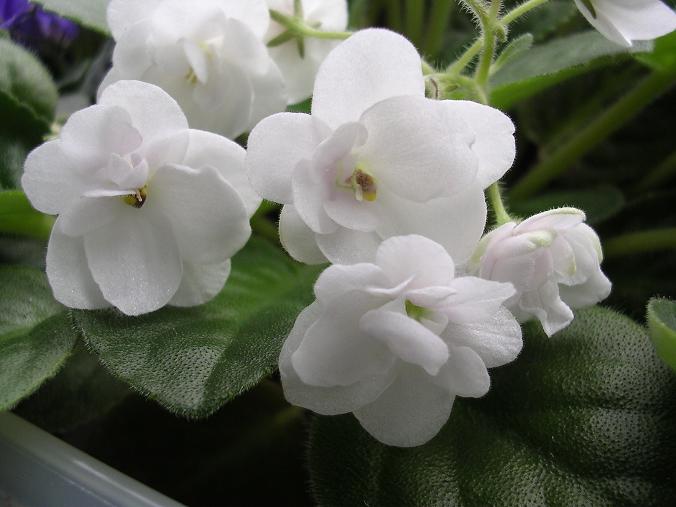 [��ˮ]��������ˮ��