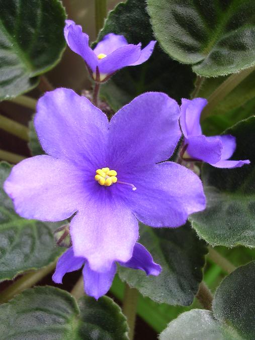 [��ˮ]��������ˮ��