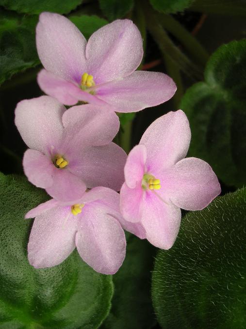 [��ˮ]��������ˮ��