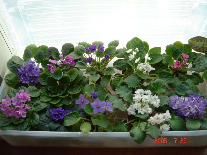 [��ˮ]��������ˮ��