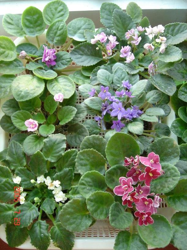 [��ˮ]��������ˮ��