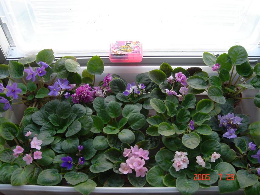 [��ˮ]��������ˮ��