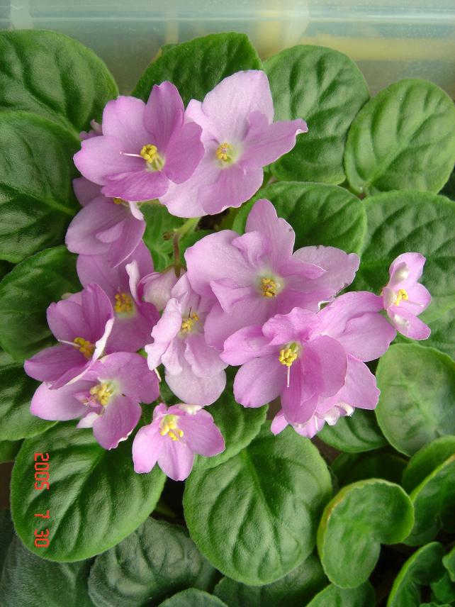 [��ˮ]��������ˮ��