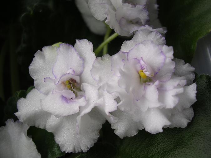 [��ˮ]��������ˮ��