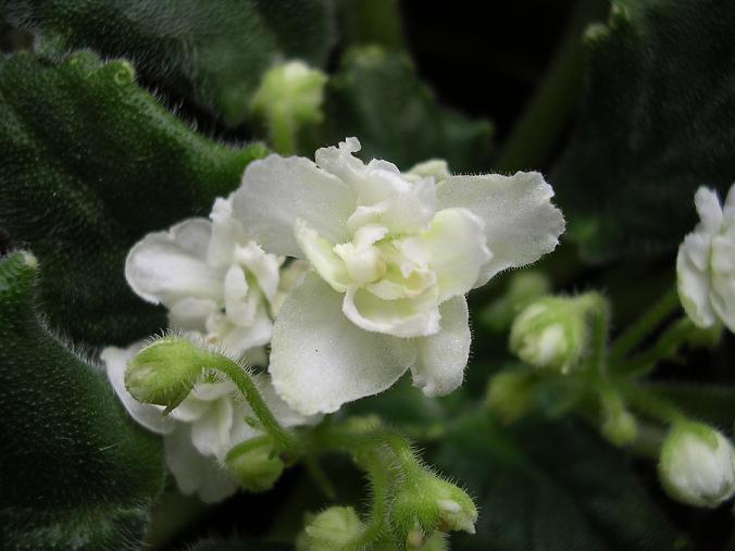 [��ˮ]��������ˮ��