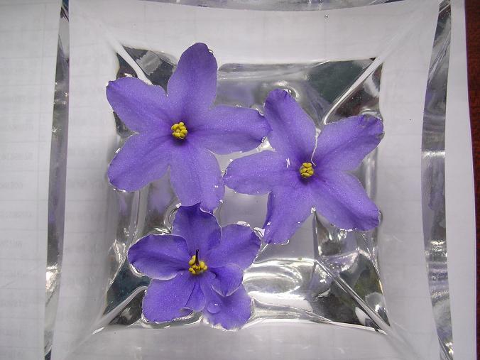 [��ˮ]��������ˮ��