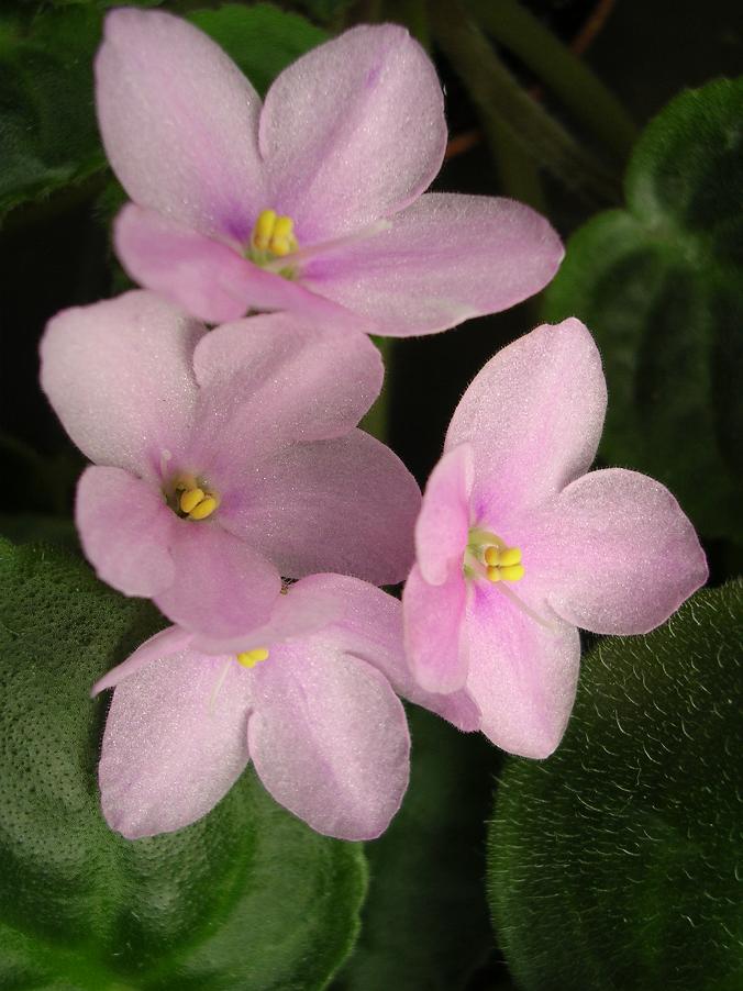 [��ˮ]��������ˮ��