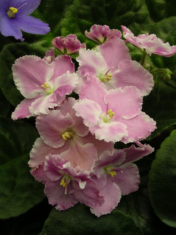 [��ˮ]��������ˮ��