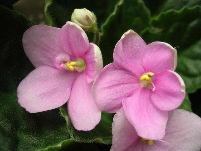 [��ˮ]��������ˮ��