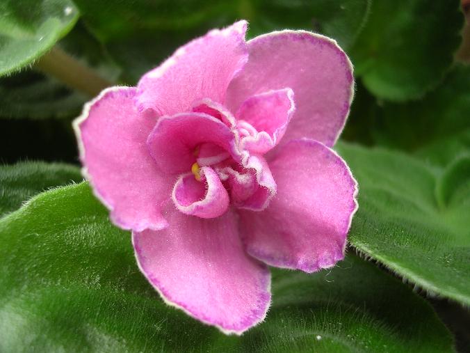 [��ˮ]��������ˮ��