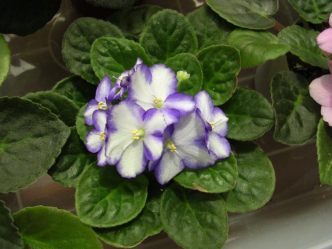 [��ˮ]��������ˮ��