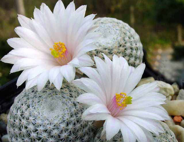 ���㿪��������PP~~~