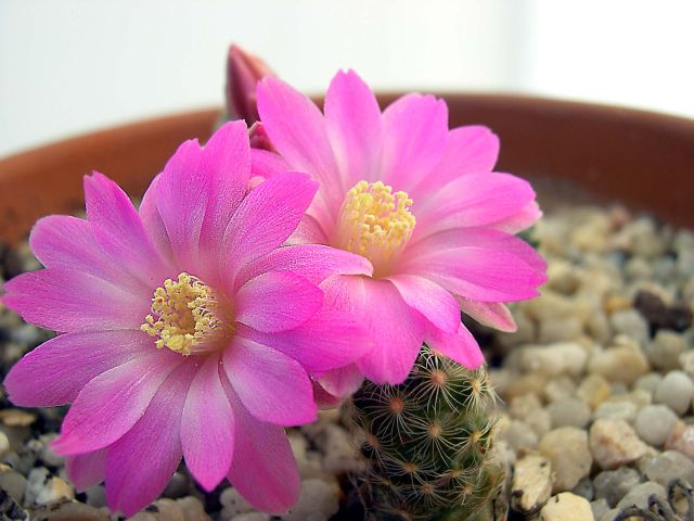 ���㿪��������PP~~~