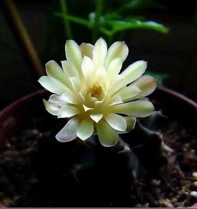 ���㿪��������PP~~~