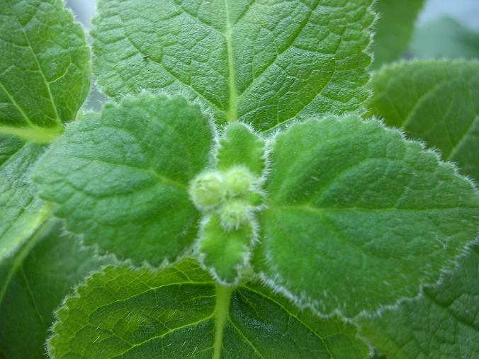 [����]����̦��������