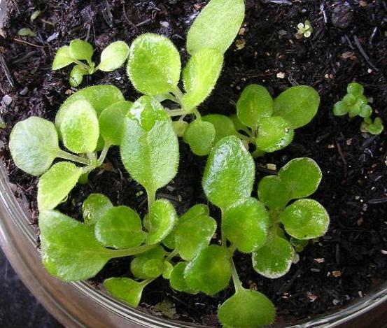 [����]����̦��������