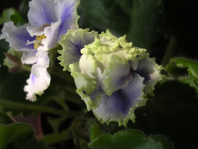 [��ˮ]��������ˮ��