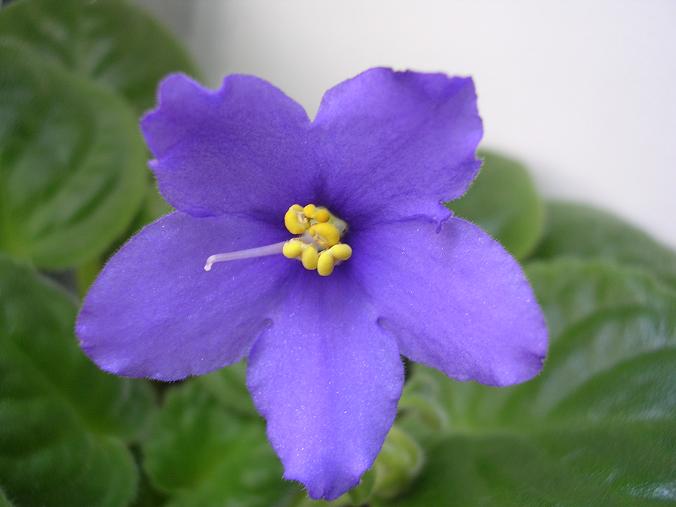 [��ˮ]��������ˮ��