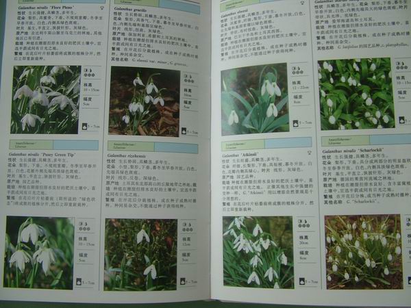 ���������й���ֲ�����