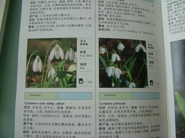 ���������й���ֲ�����