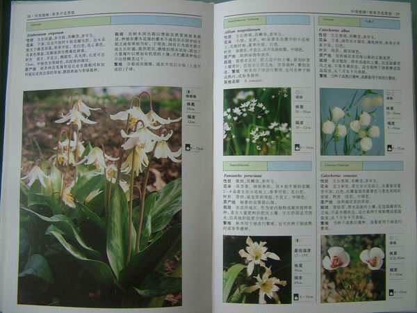 ���������й���ֲ�����