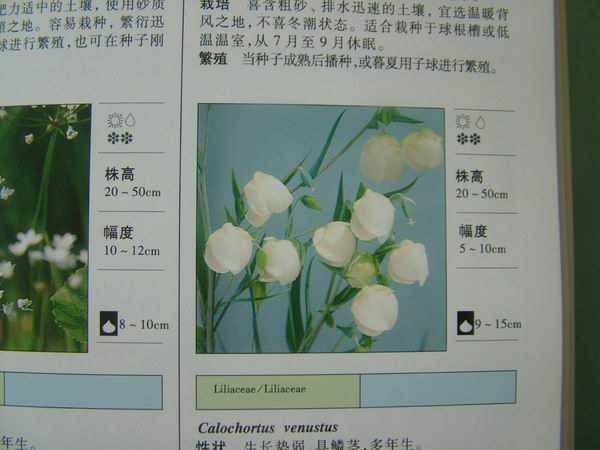 ���������й���ֲ�����