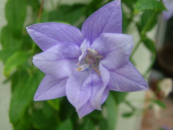 2005�Ҽҵ����