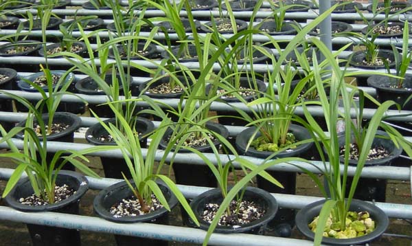 [����]������Ʒ