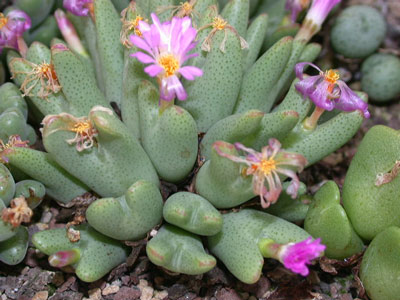 [����]��׶����---55¥��ʼ������ͨ��---