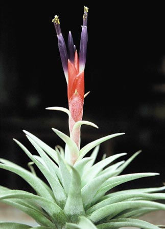 [����]��ؿ����������