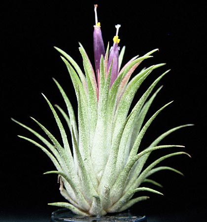 [����]��ؿ����������