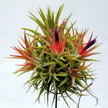 [����]��ؿ����������