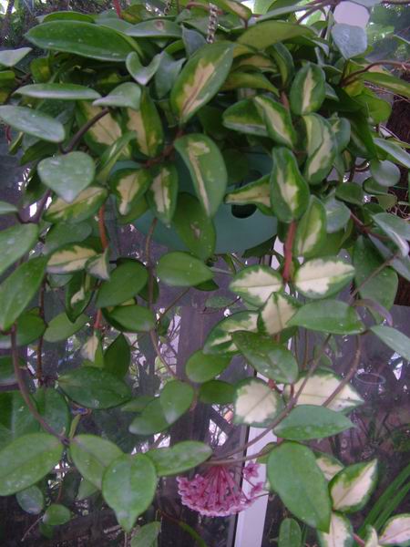 �������ˣ�