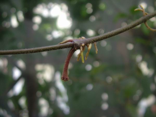 �������ˣ�