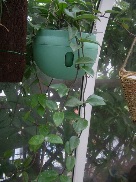 �������ˣ�