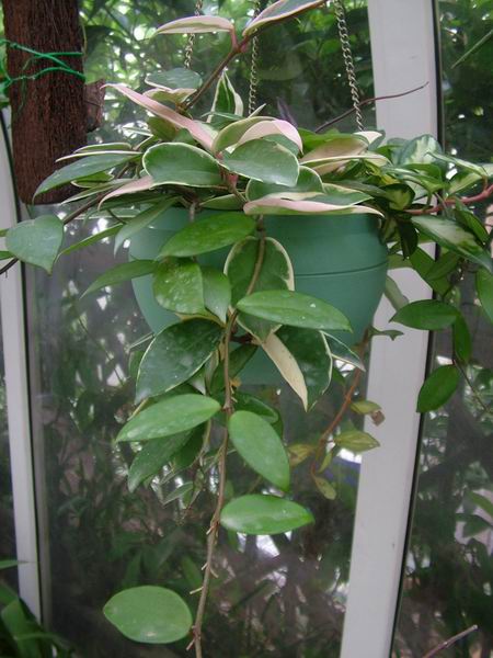 �������ˣ���liren����������С���䣩