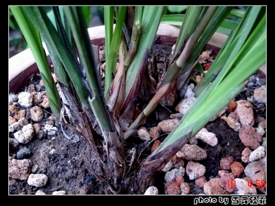 ������������Ϣ�ĳ�������~p2������