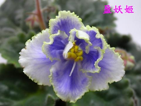 [��ˮ]��������ˮ��