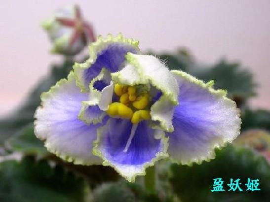 [��ˮ]��������ˮ��