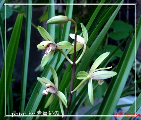 ������������Ϣ�ĳ�������~