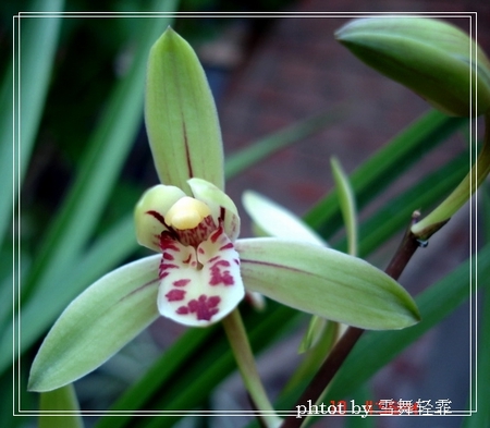 ������������Ϣ�ĳ�������~