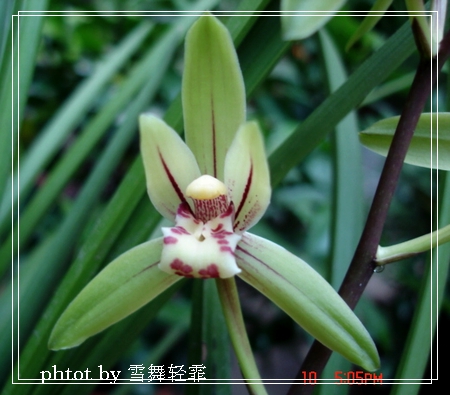 ������������Ϣ�ĳ�������~